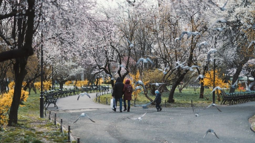 Marfa vândută în marile parcuri bucurestene, pericol public. A plouat cu amenzi de la Protectia Consumatorilor