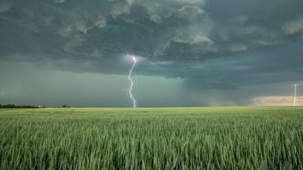 ANM a emis cod galben de vijelii, ploi și grindină în patru județe