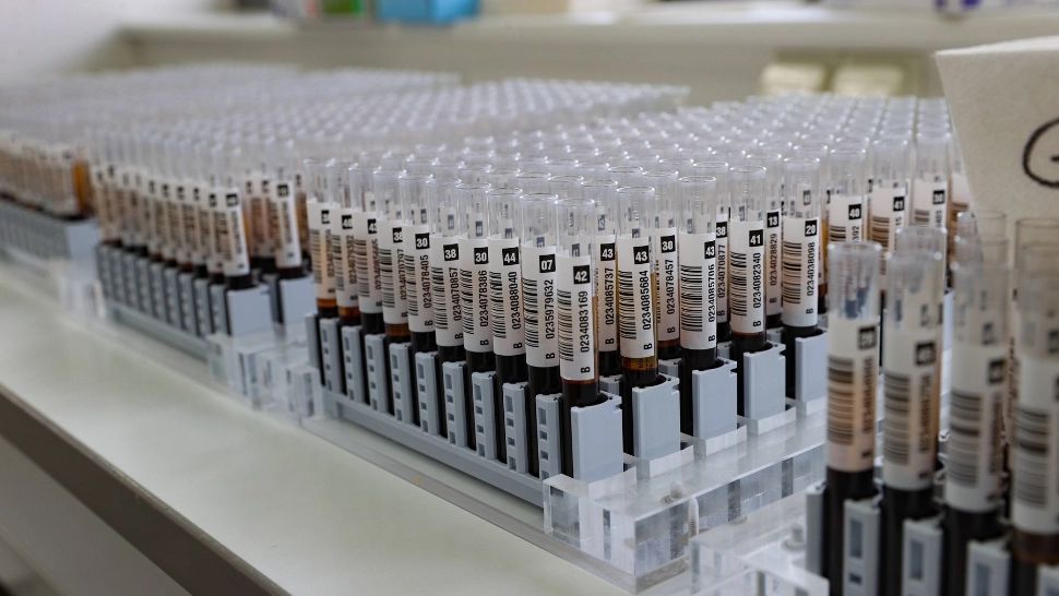 Cum îți modelează personalitatea grupele de sânge