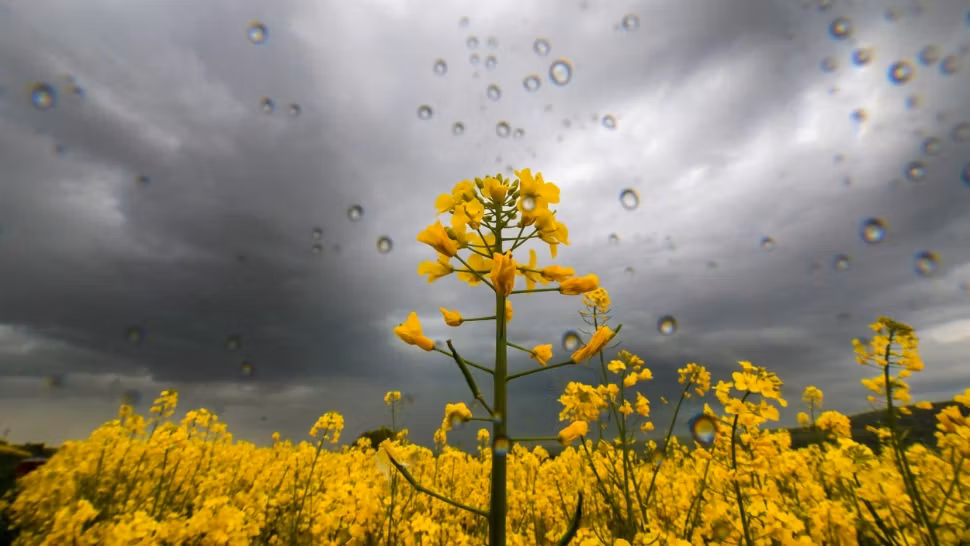 Un nou ciclon mediteranean ameninţă România - schimbări radicale. Zonele lovite de furtuni violente