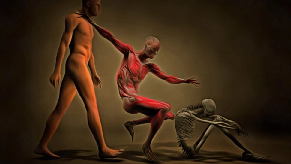 Care e cel mai greu organ al corpului omenesc? Aproape nimeni n-a dat răspunsul corect