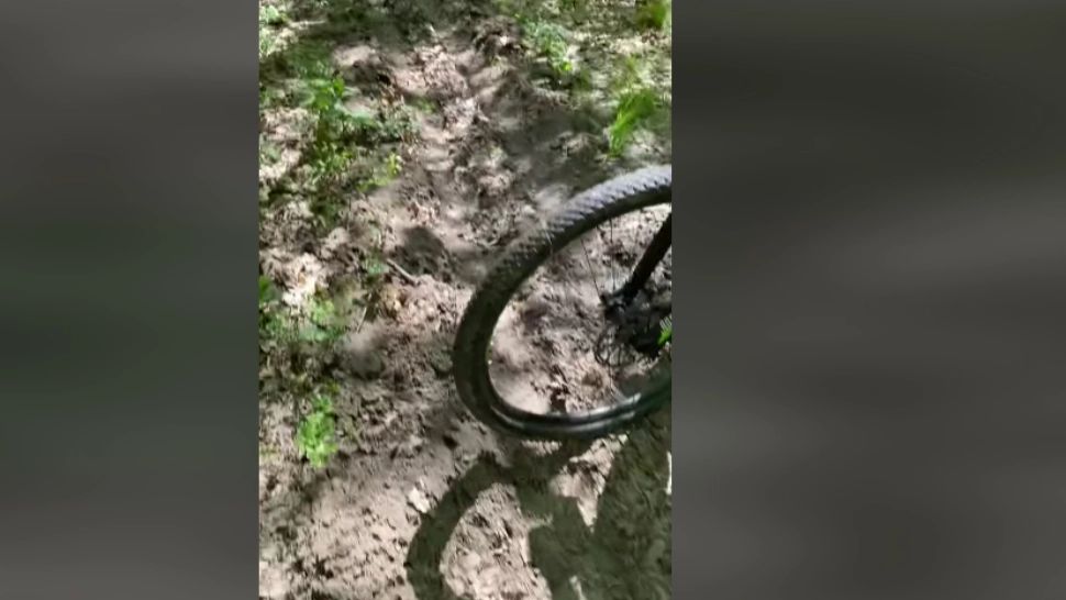 Potecile unui concurs au fost arate de Romsilva. Instituția forestieră, acuzată că a sabotat cu intenție o competiție sportivă