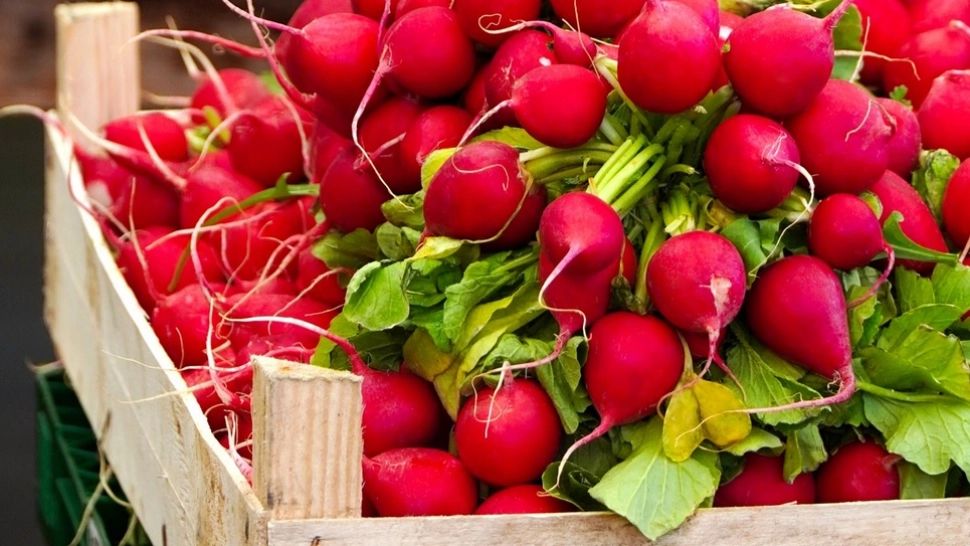 Ce se întâmplă în corpul tău atunci când mănânci ridichi. Efectele mai puțin cunoscute