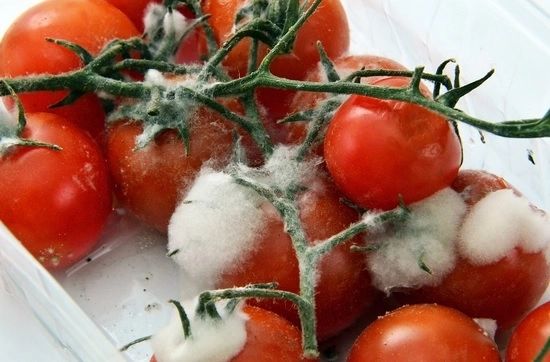 Dosarul Tomata Otrăvită. Traficanții de chimicale au vândut otravă la fermieri din toată țara 