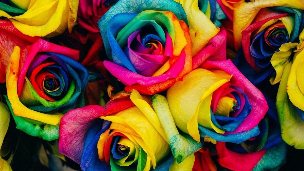 Afli cine ești dacă știi ce culoare îți place cel mai mult - Cele 15 secrete ascunse în CODUL culorilor