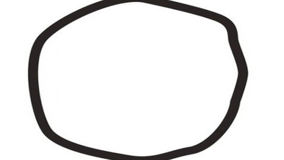 Testul psihologic care depistează orientarea ta politică. Este desenul din imagine un cerc?