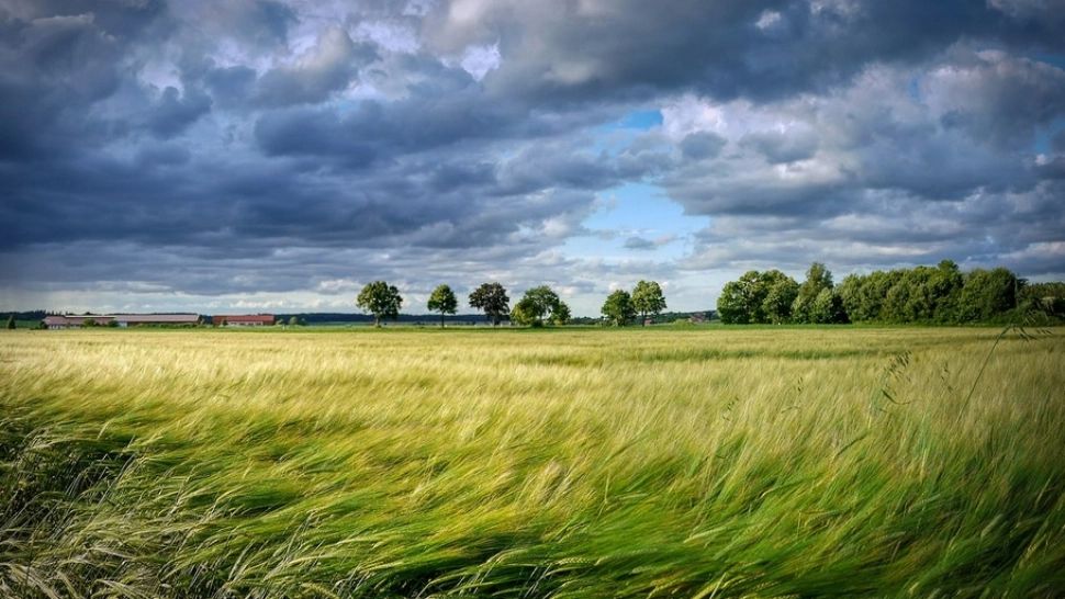 Alertă meteo de fenomene extreme: cod galben de vânt puternic - rafale de până la 100 k/h