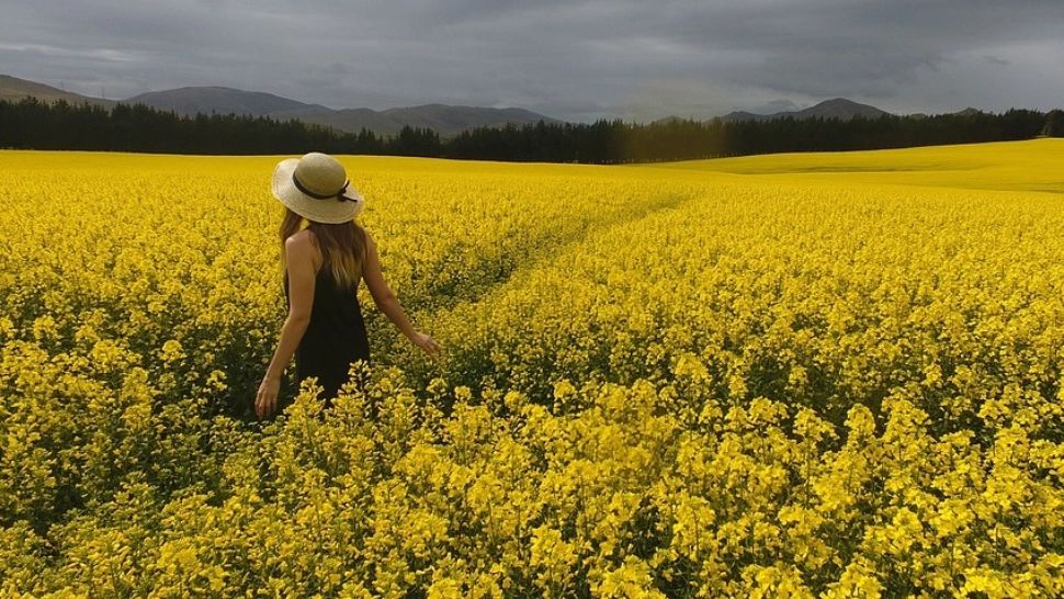Schimbări radicale ale vremii: temperaturi de până la 28 de grade! Zonele lovite de furtuni 