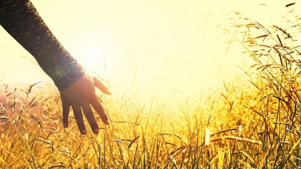 Ciclonul mediteranean lovește puternic România. Când vine vara? Meteorologii anunță temperaturi de 30 de grade