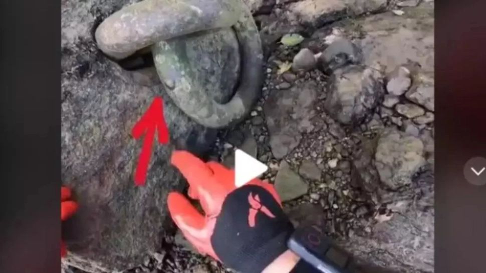 VIDEO – Descoperire fabuloasă făcută într-o pădure – Totul a fost filmat