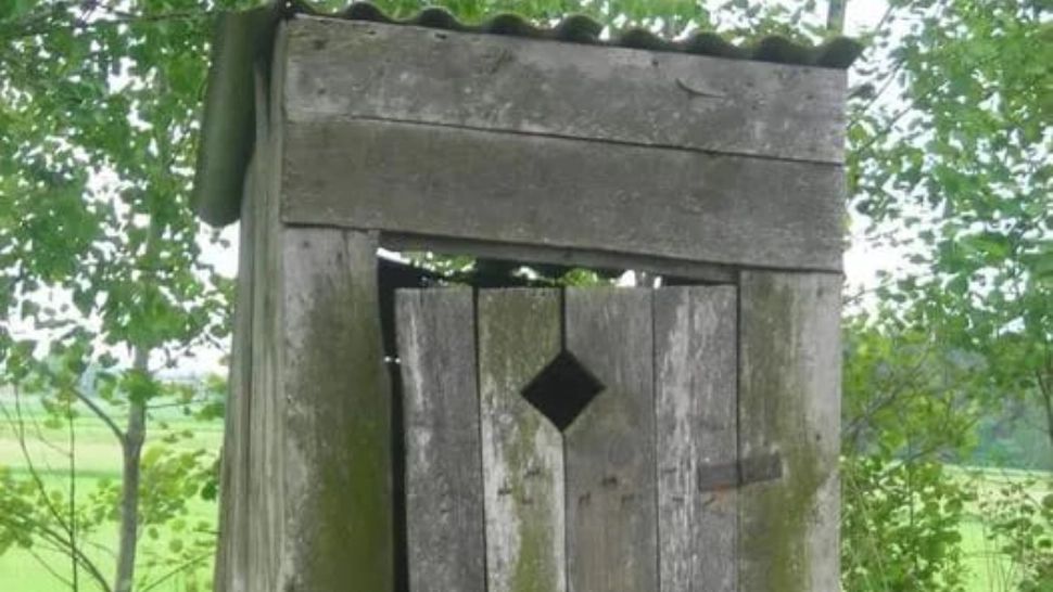 Ce se întâmplă cu școlile care au toaletă în curte? Ligia Deca: „O rezolvăm anul acesta”