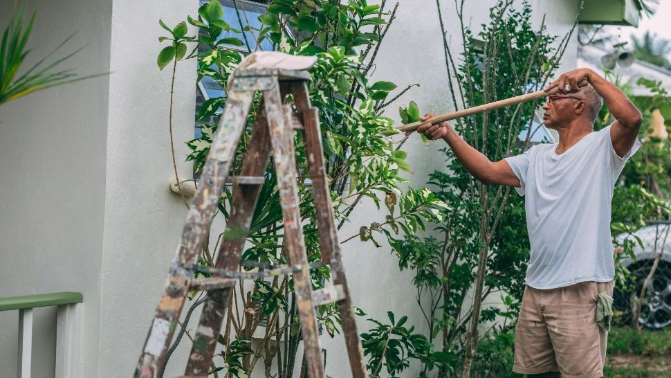 De ce să alegi vopseaua lavabilă pentru exteriorul casei? 7 motive (P)