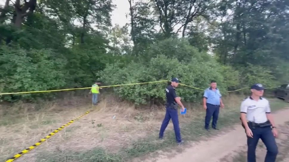 Panică în pădure: silvicultorii, atacați cu puștile de vânătoare! Au intervenit polițiștii și mascații