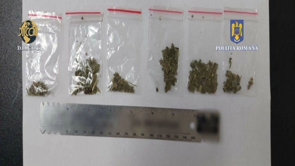 Patru bărbați, cercetaţi pentru trafic de persoane, proxenetism şi trafic de droguri. Cum "opera" rețeaua 