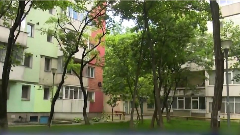 Cum umfla administratorul unui bloc facturile la întreținere. Oamenii plăteau și toaletarea unui gard viu care...nu exista