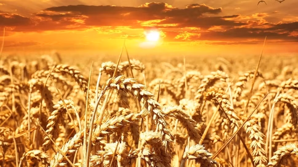 România, traversată de un val de aer tropical: temperaturi de până la 35 de grade! Când revin furtunile violente