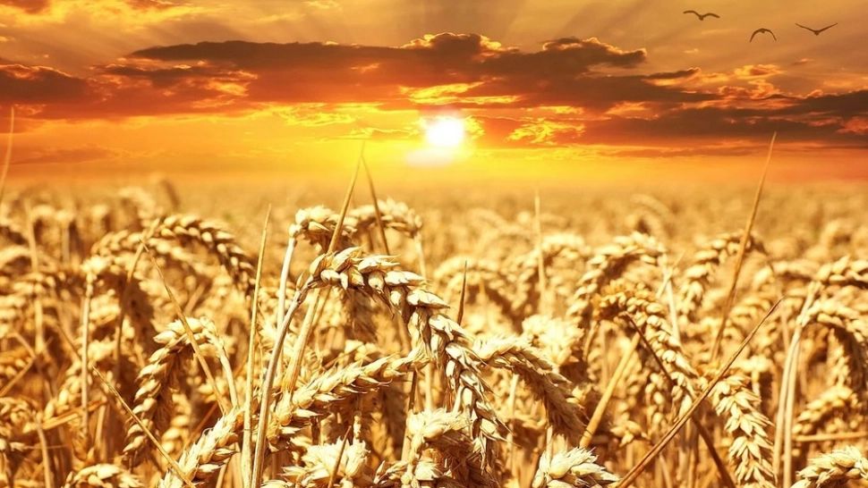 Prognoza meteo. Revine canicula - zile de foc, disconfort termic accentuat 