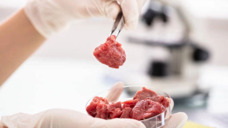 Comercializarea cărnii sintetice, pe cale să fie interzisă in Romania. Proiectul de lege, depus la Parlament