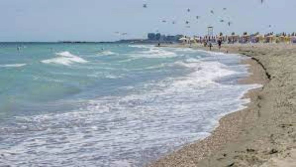 Alertă de HOLERĂ în România. Managerul Institutului Matei Balş, anunț important despre litoral - ce trebuie să știe oamenii care intră în apă