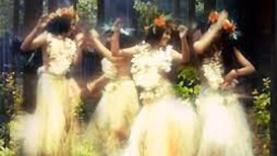 Sânzienele sau Drăgaica, noaptea magică în care se deschid porțile dintre lumi. Tradiții, obiceiuri, superstiții