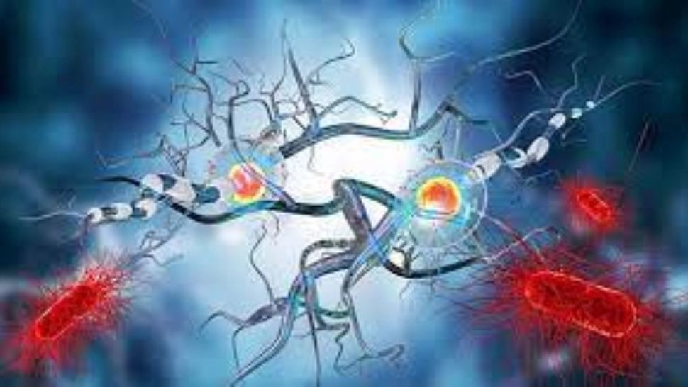 Plantele care elimină metalele grele din corpul tău. Metode naturale de detoxifiere