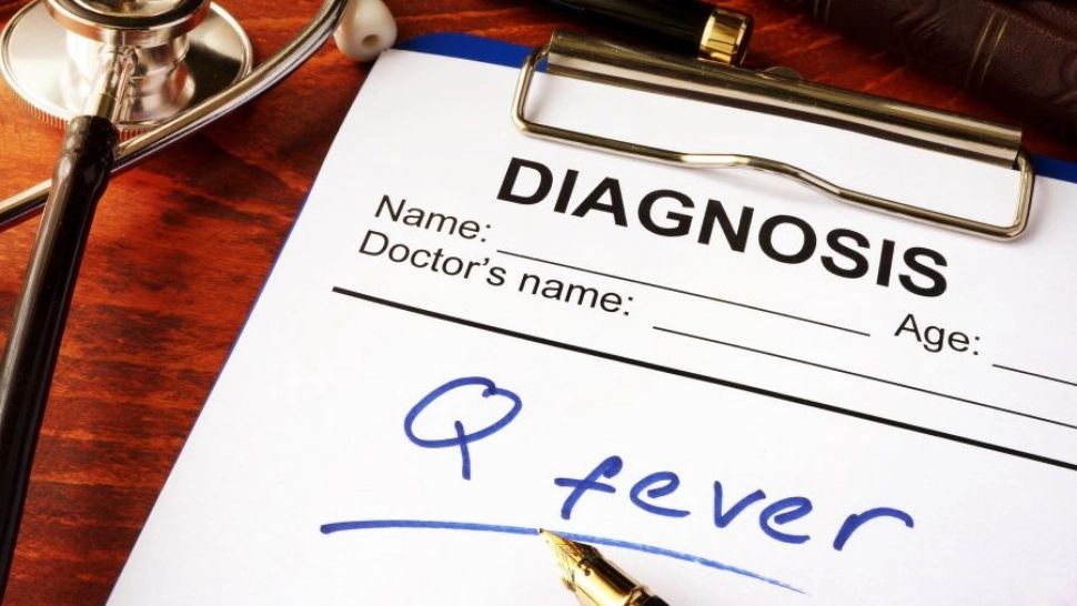 Febra Q a ajuns în România. Unde s-a înregistrat primul caz. Simptomele care trebuie să te trimită urgent la medic