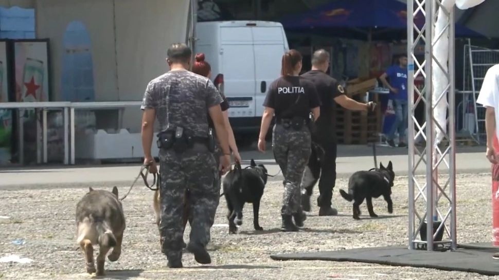 Festivalul SAGA. Poliția, în alertă. Razii la festival - ce caută polițiștii