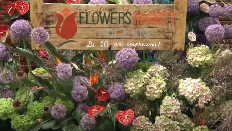 Flowers Market Holland - cel mai mare depozit de flori din Capitală a împlinit 10 ani VIDEO