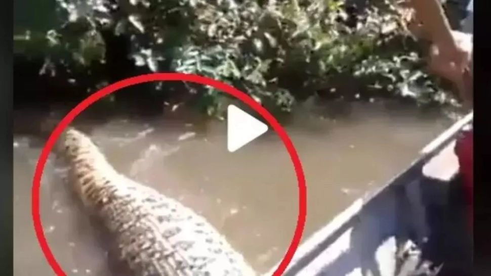 VIDEO - Imagini din concediu ca dintr-un film de groază - Ce au filmat niște turiști care se plimbau cu barca 