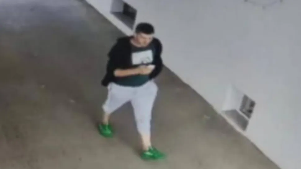 Principalul suspect al dublei crime de la Timișoara a fost prins - Momentul capturării