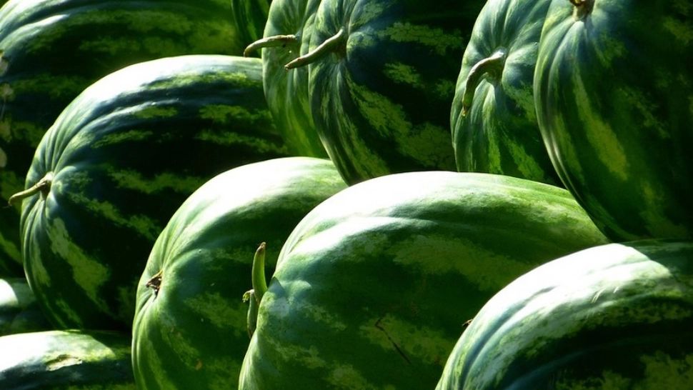 Pepenii din piețe, extrem de toxici - românii consumă OTRAVĂ. Avertismentul specialiștilor: șocant ce arată analizele