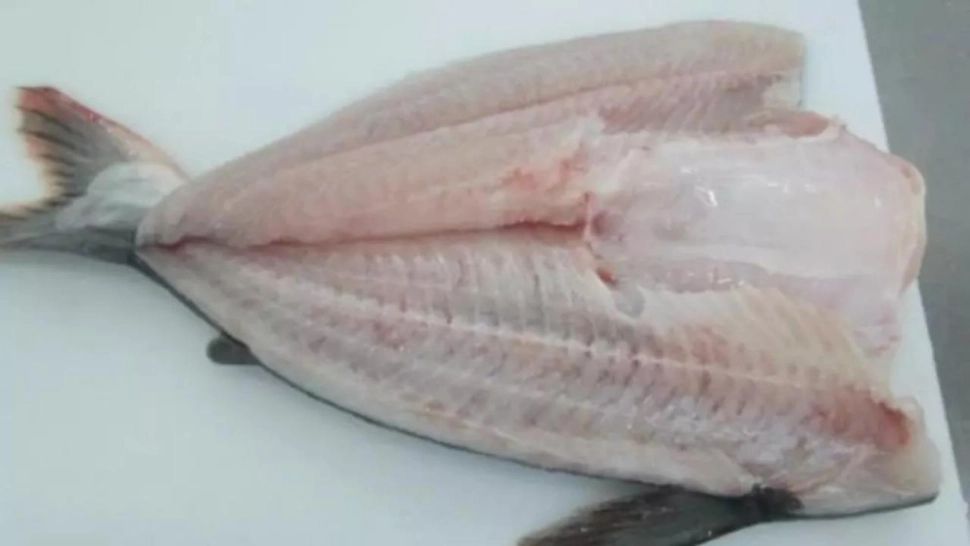 Top 9 cei mai toxici pești pentru consumul uman - Trebuie evitați cu orice preț