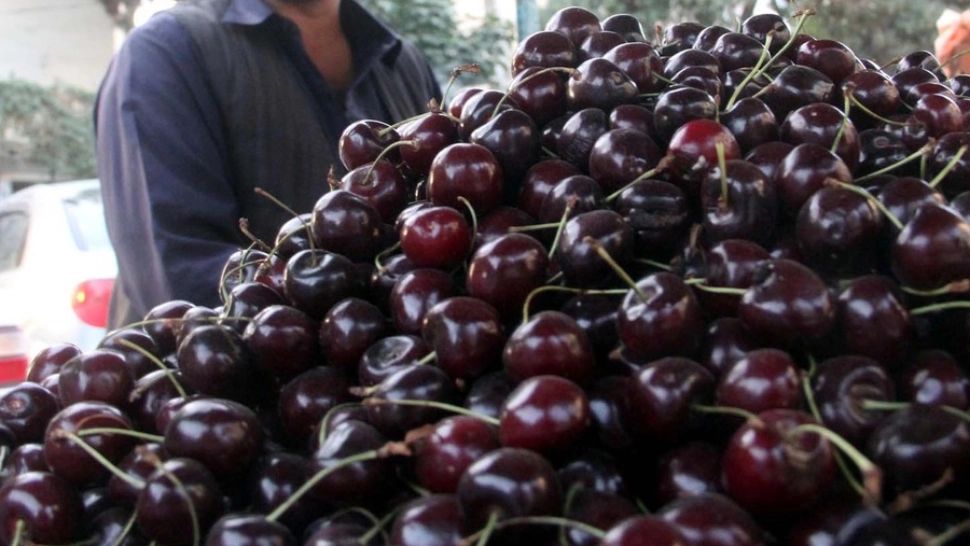 Cireșele printre cele mai "curate" fructe, din punct de vedere chimic? Cum ținem dieta