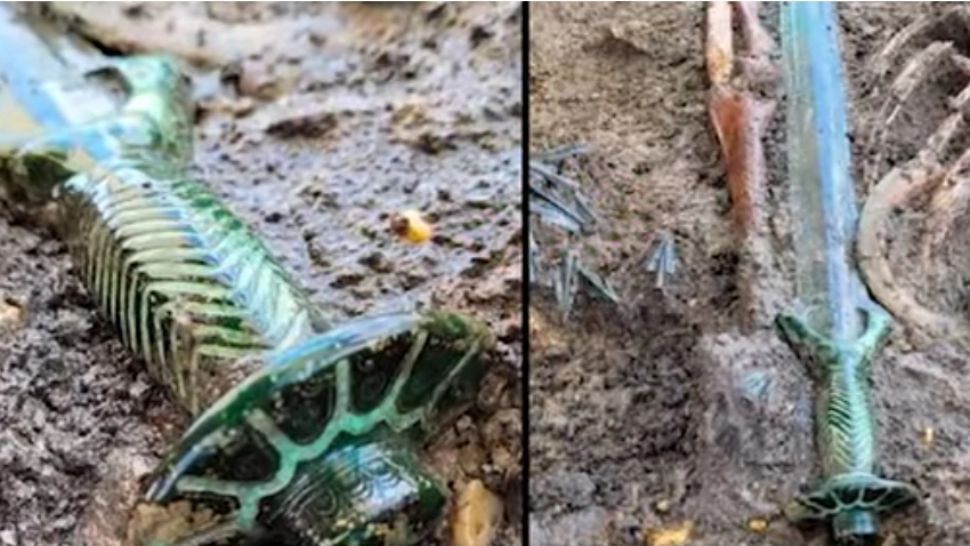 Sabie din Epoca Bronzului, găsită în stare aproape perfectă de conservare! VIDEO cu descoperirea uimitoare  