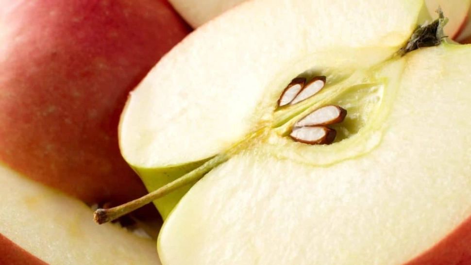 Ce se întâmplă în corpul tău dacă înghiți sâmburi de măr - Pericolul este foarte mare dacă "spargi" și mesteci semințele