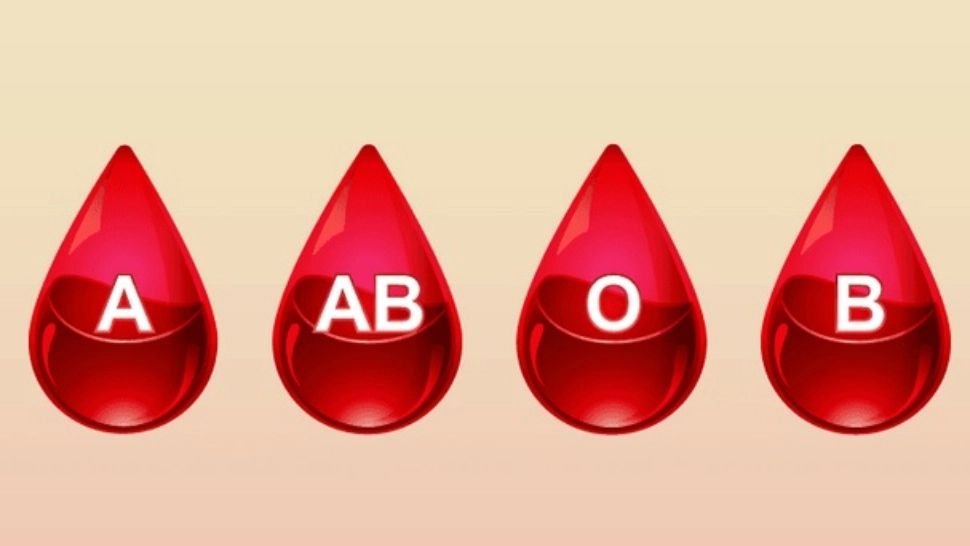Sângele de aur, cea mai rară grupă sangvină. Câte persoane o au și ce particularități prezintă