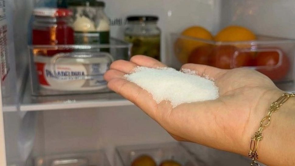 Ce se întâmplă dacă pui o linguriță de SARE în frigider. Trucul care a cucerit gospodinele