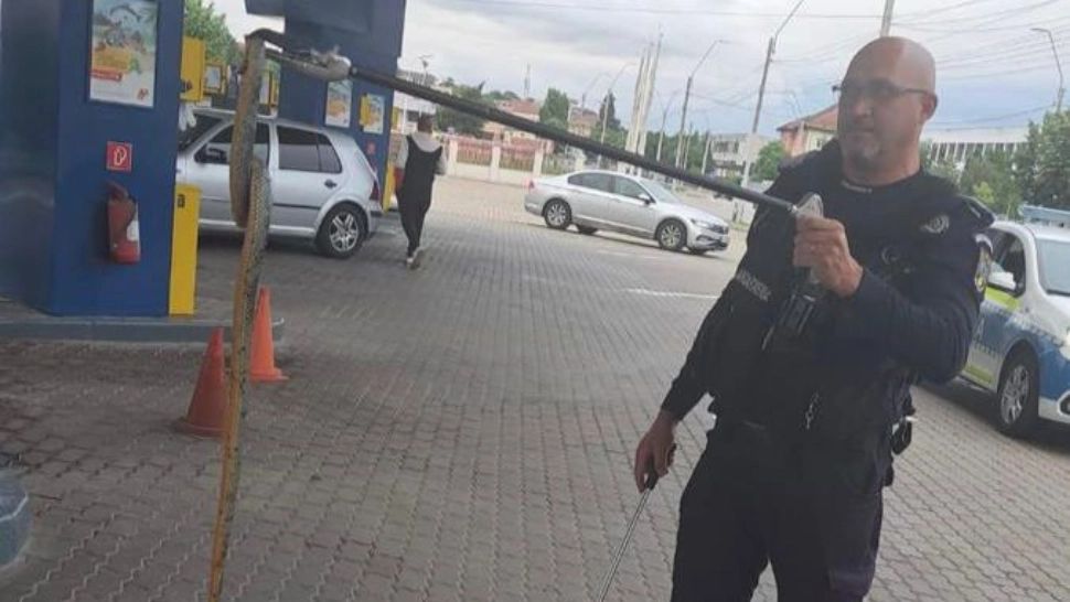 Teroare într-o benzinărie din Mehedinți. Un șarpe de 2 metri s-a încolăcit pe furtul pompei de alimentare