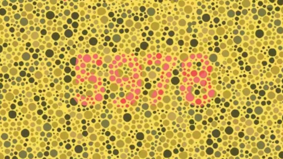 Test de inteligență pentru genii. Ești printre cei 2% care văd numărul corect? Încearcă-ți norocul!