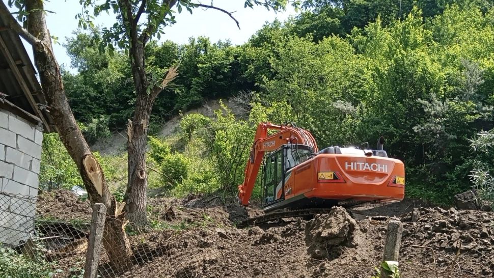 Motivul halucinant pentru care un român a defrișat o pădurice: vroia un loc generos să facă grătar