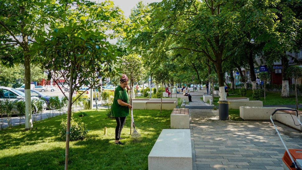 Cum se menține verde Sectorul 4, cu contribuția celor de la Totul Verde