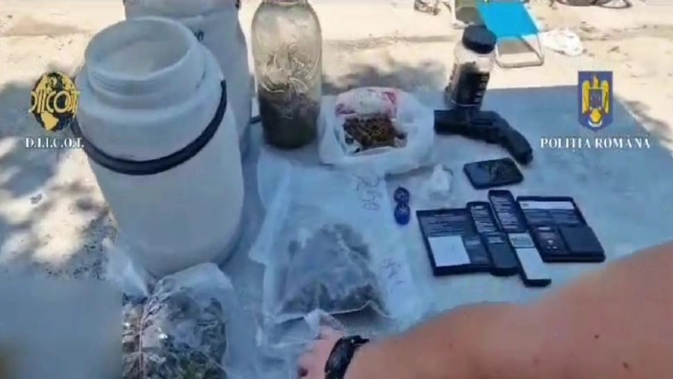 Percheziții domiciliare în județele Prahova şi Buzău într-un dosar privind traficul de droguri - 4 persoane au fost reținute