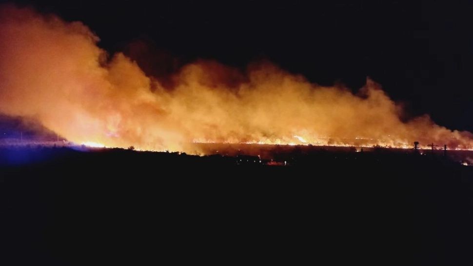 Incendiu de vegetație de proporții la Poarta Albă, în apropierea penitenciarului - Intervenție amplă a pompierilor constănțeni