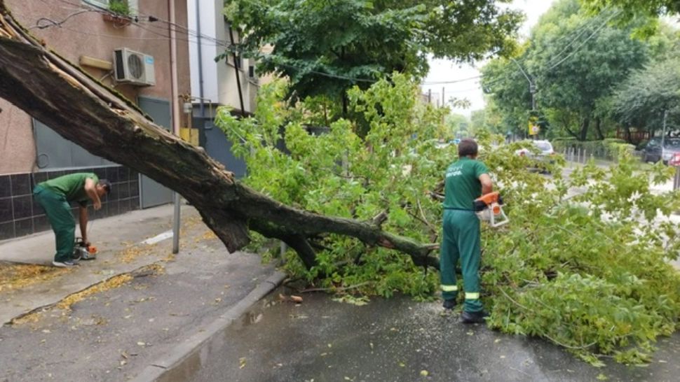 Totul Verde, intervenții rapide pentru remedierea urmărilor furtunii de vineri dimineață, din sectorul 4