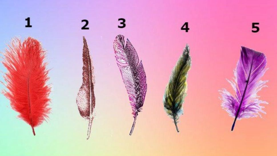Testul care nu dă greș. Ce pană ți se pare cea mai frumoasă? Răspunsul îți va dezvălui trăsătura ta dominantă