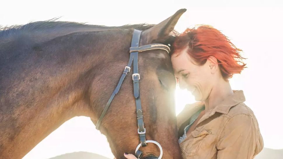 Ce animal eşti în funcţie de semnul tău zodiacal: Defectele pe care să le ascunzi urgent - Calități fascinante de care nu știai