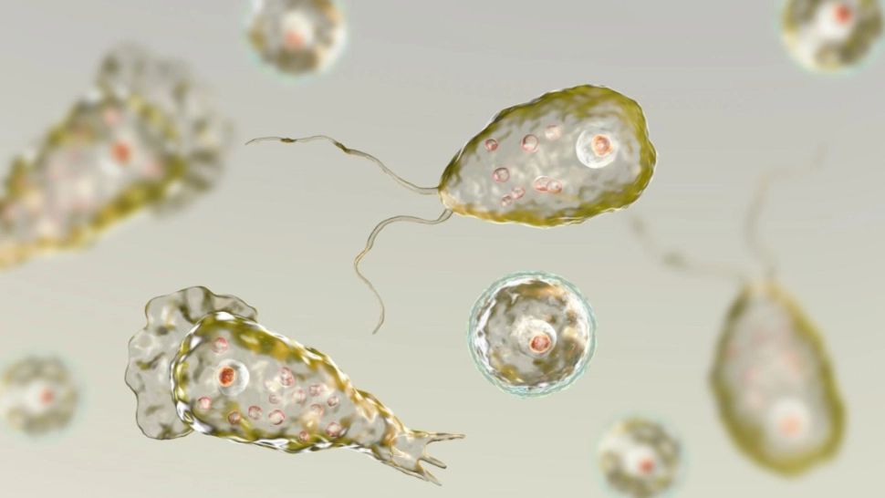 Adolescentă ucisă de amiba care devorează CREIERUL. Atenție la apele insalubre!