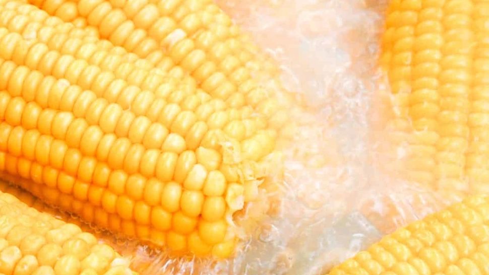 Cât de sănătos este porumbul fiert și ce produce în organism - De ce nu trebuie să arunci apa în care a fiert