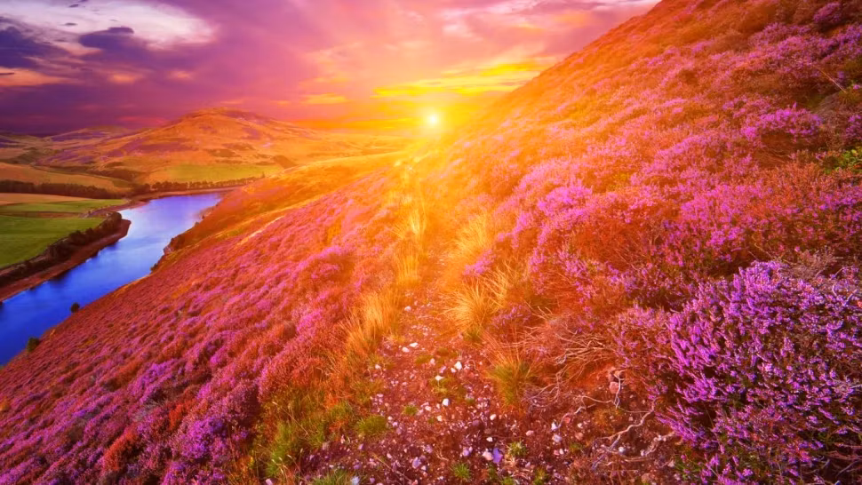 Horoscop AUGUST 2023. Influențe majore: Ce zodii își pot regăsi drumul în viață - Ce șanse le dau astrele în 13 zile cruciale