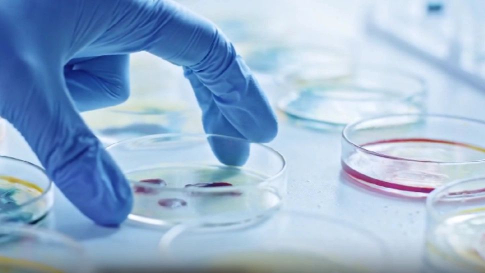 Primul MEDICAMENT creat exclusiv de inteligența artificială, testat pe oameni. Ce BOLI tratează